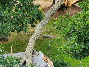 117267769_3262165187139990_7188712845354115626_n