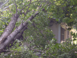 29179033_1694274430595748_548185105693147136_n