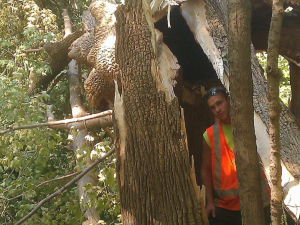 29249379_1694274487262409_5932003512618582016_n