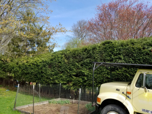 31913917_1747819848574539_183524811551539200_n