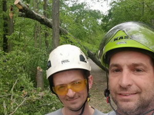 33079096_1762752187081305_2988930477873692672_n