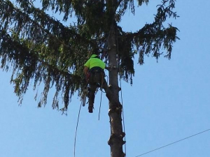 464119581_8646641908692264_3758141089563565037_n