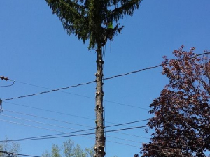 464192996_8646029358753519_439805451729084795_n