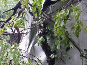 464196956_8648553818501073_528285781552449337_n