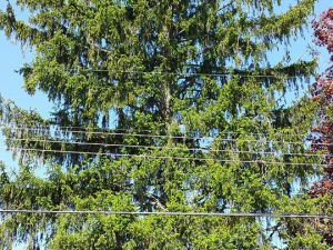 464197034_8646027052087083_6906584818937419489_n