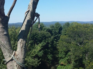 464224057_8658444890845299_1546805560616729919_n