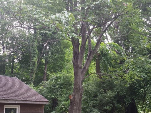 464225624_8650475561642232_4201792535312143995_n