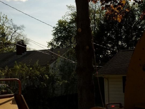 464227162_8646034685419653_6552450756575536902_n