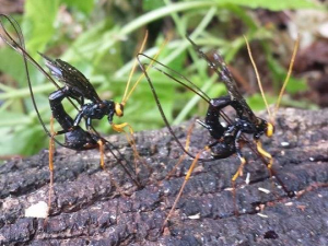 464237389_8649631008393354_7417637090190830591_n