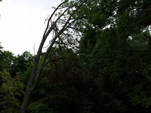 464242693_8650941974928924_1409616104903837519_n