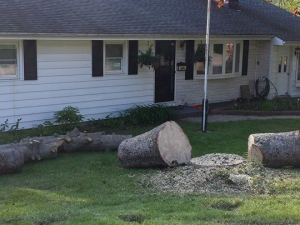 464302636_8646081365414985_7446307344581347908_n