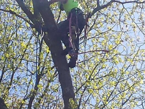 464388339_8681854225171032_4865912765147608388_n