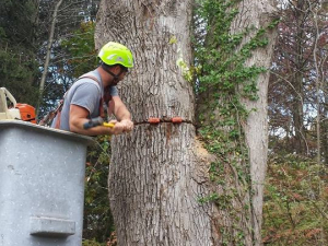 464399763_8663448137011641_7101704473924369902_n