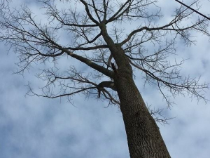 464408690_8676571282365993_6202955642159233991_n