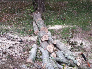 464436847_8662782023744919_6406854217101107599_n