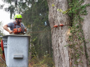 464437162_8663448120344976_4848417602526021450_n