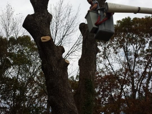 464450328_8663448150344973_65475286998511303_n