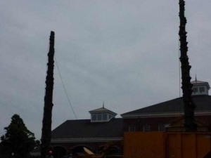 464460813_8655238011165987_4352658284143920668_n