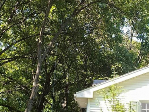 464472235_8685506078139180_6695244690656185689_n