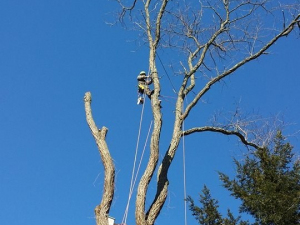 464509875_8672502609439527_2606768542581773186_n