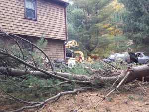 464512738_8662781827078272_3178691383821943127_n