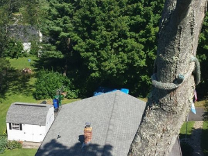 464556895_8658444910845297_6764234396746791904_n