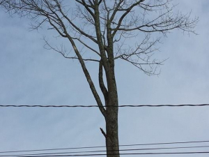 464582922_8676571259032662_6943383437102497651_n