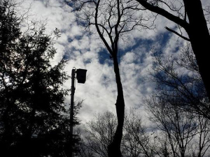 464602772_8672502849439503_1976985822197130514_n