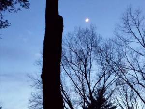 464614635_8672502592772862_9041602287379250279_n