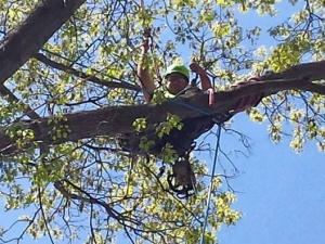 464618574_8681854518504336_8004400933494965524_n