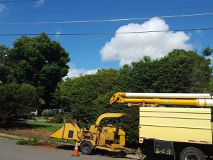 464638477_8689550581068063_5201665768029771921_n