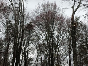 464686827_8679112798778508_7733517239662083237_n