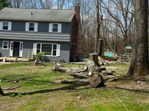 464690839_8679112782111843_6891453192994875881_n