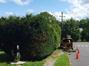 464702010_8689550584401396_8680648067242110309_n