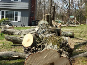 464702328_8679112755445179_3385727718532426922_n