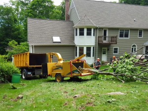 464729979_8683729028316885_5080474873600768085_n