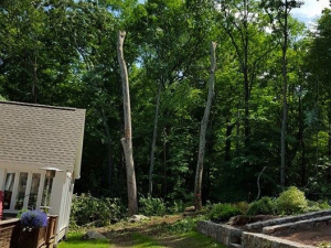 464738088_8683749158314872_8019343572372906894_n