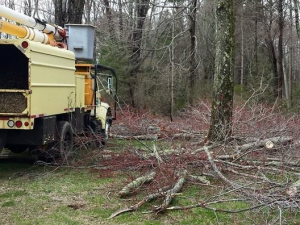 464751425_8679112785445176_4707668803940067123_n