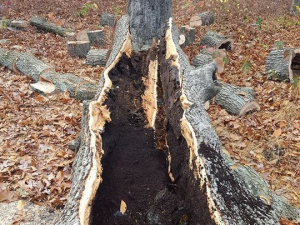 464773797_8695339747155813_6504067266467465844_n