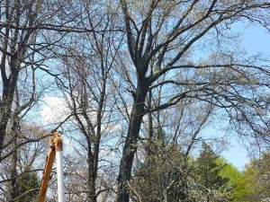 464774972_8681589025197552_807904269902256687_n