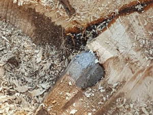 464787818_8690425664313888_3630817971330187478_n