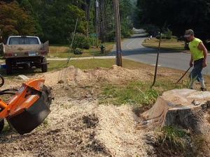 464788154_8690425670980554_8055209050977555100_n