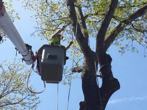 464799565_8681854525171002_1229383050852879133_n