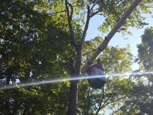 464802870_8717594531597001_5561780155294303327_n