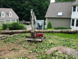 464803475_8684503134906141_3366123513465856103_n