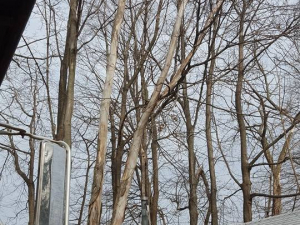 464804839_8698593850163736_1464525169037232591_n