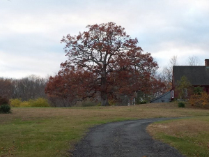 464820125_8677226938967094_2654528612526986961_n