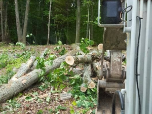 464832023_8684503151572806_5809596991024307751_n