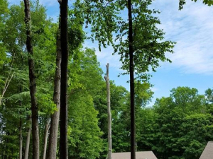 464834570_8683729031650218_5619382394053208141_n