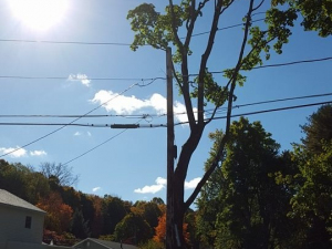 464864598_8692193604137094_3041807493081714719_n